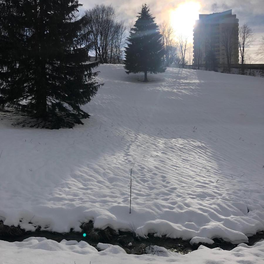 Apartment Pano Hohegeiss App 363 Mit Wlan *